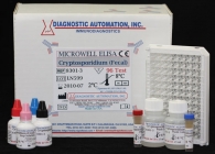 Strongyloides