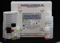 HCV