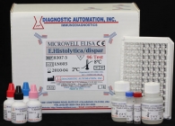 Strongyloides
