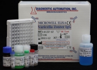 HCV