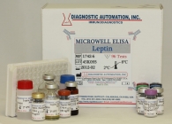 Leptin ELISA kit