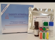 T3 ELISA kit