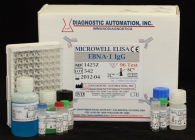 Epstein Barr Virus Nuclear Antigen (EBNA-1) IgG ELISA kit